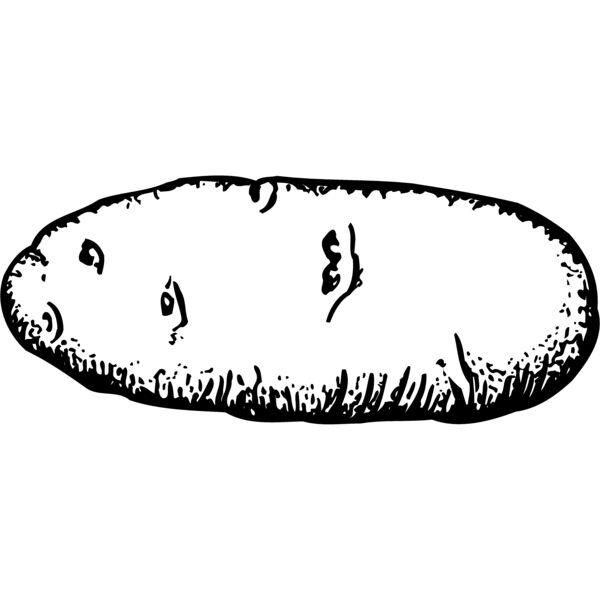 VEG006 Miniaturansicht