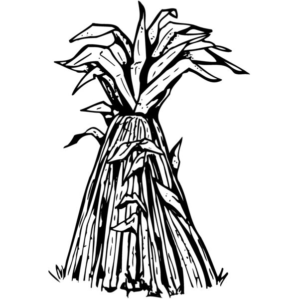 TKSGVNG4 Miniaturansicht