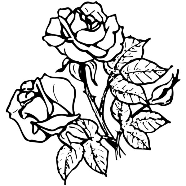 FLOWER21 Miniaturansicht