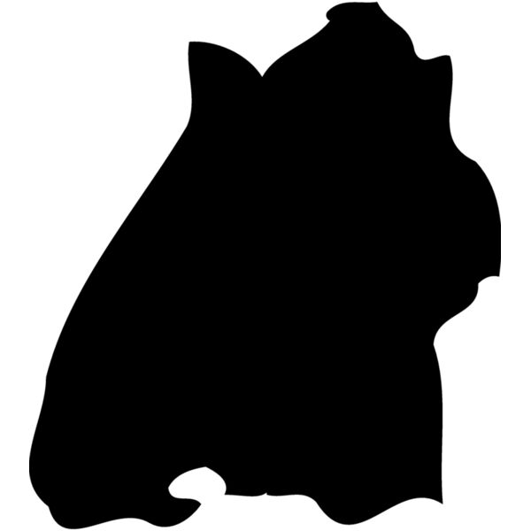 BADENWUN Miniaturansicht