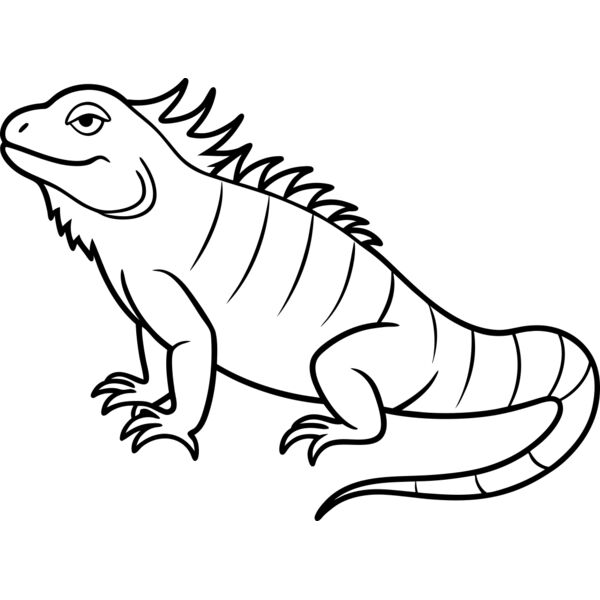Iguana   Clipart 1 Miniaturansicht