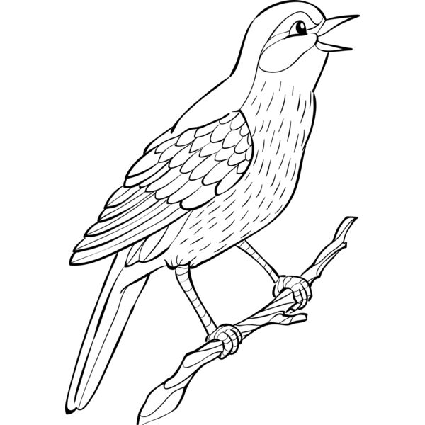 Nightingale   Clipart 2 Miniaturansicht