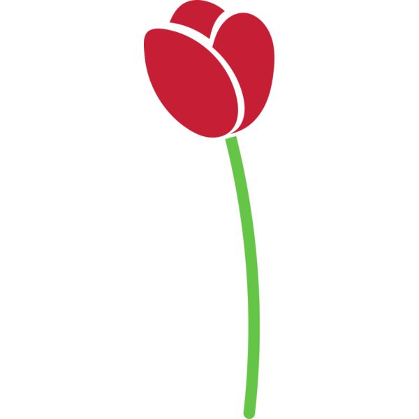 23 Flower Miniaturansicht