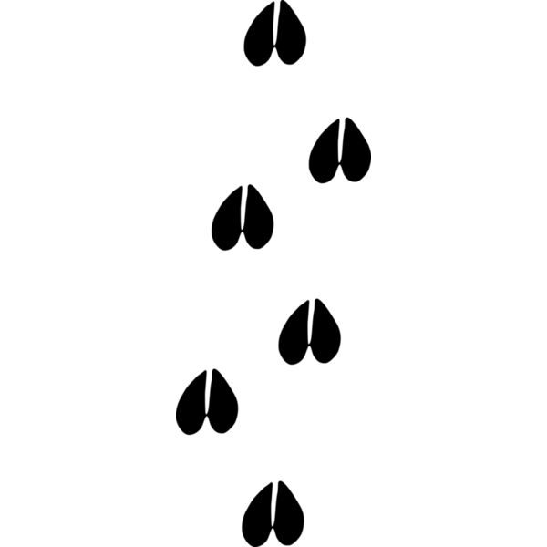 Fußspur Abdruck Reh Hirsch Wild Miniaturansicht