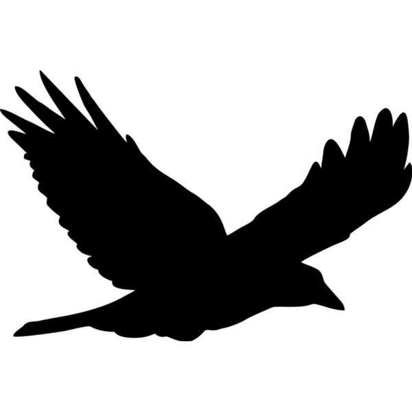 Vogel Miniaturansicht